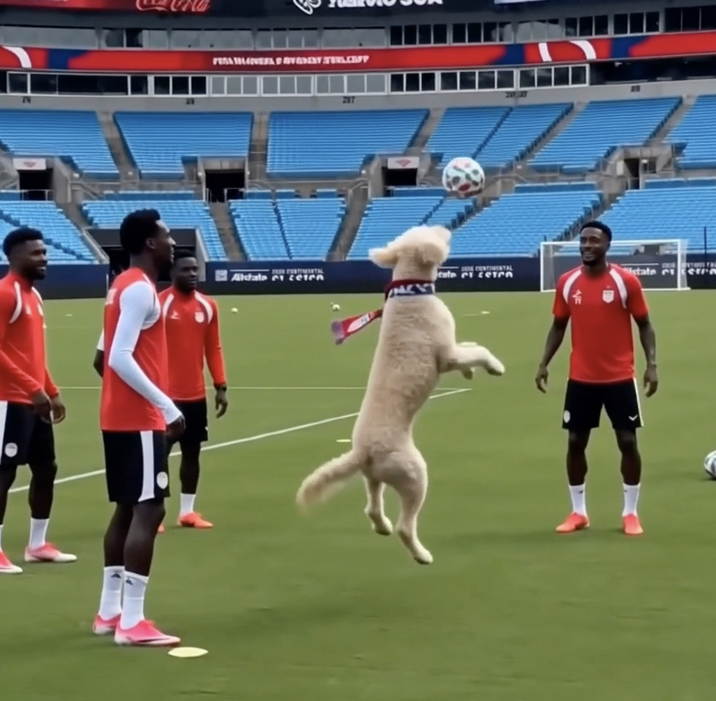 Sugar juggling a ball with players