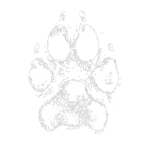 Sugar's paw signature
